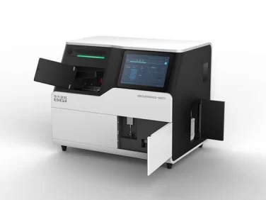 Lorem ipsum dolor sit amet, consectetur adipisicing elit2